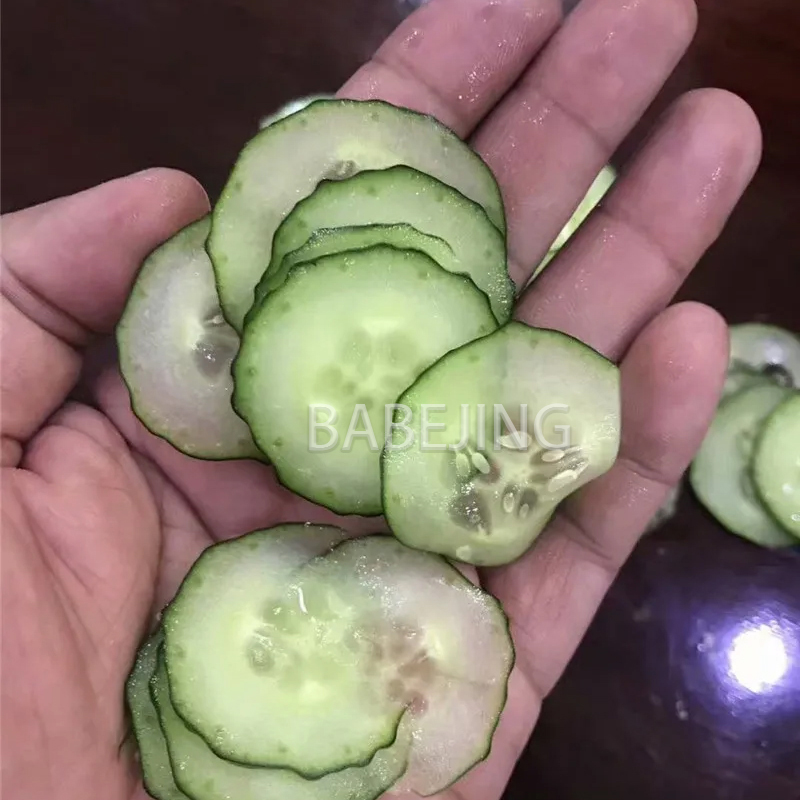Electric Mini Scallion Chopper - огляд і ціна Commercial Kitchen Appliances